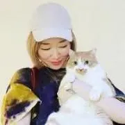 aoの画像