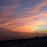cyの画像
