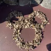 ぱぴこ♡︎急ぎの方はお断りですの画像
