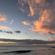 ぴーすけの画像