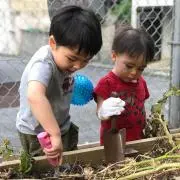 ここ掘れワンワン