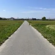コトタス