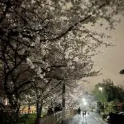 ハンカエの画像