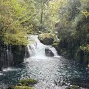 123YoNの画像
