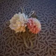 あもの画像