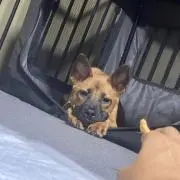 ちっぽけ