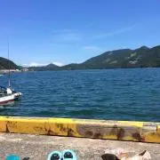 こうこうの画像