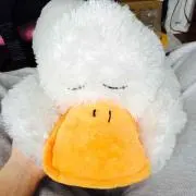 AHIRUの画像