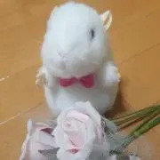 まりんの画像