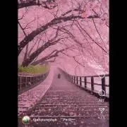 不自由の女神