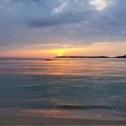 みーの画像