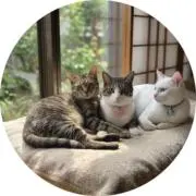 とばぁの画像