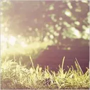 Yuki-nokoの画像