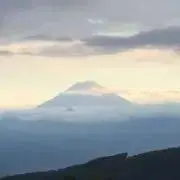 たかし１号の画像