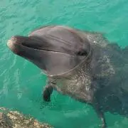 ☆こもも☆在庫確認お願いします♪の画像