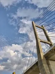 yokoの画像
