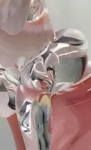 sakuraの画像