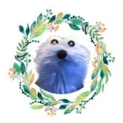 北海▼プロフ必読:)の画像