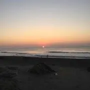 waveの画像