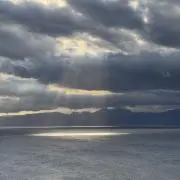 thisisitの画像