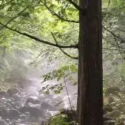 たくや