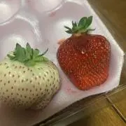 mimi prizeの画像