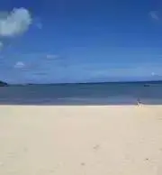 あんず