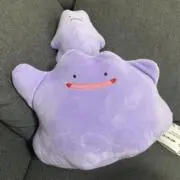 Tの画像