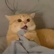 のん