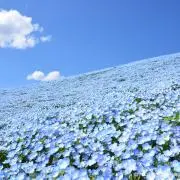 ロゼッタ☆断捨離中の画像