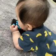 ぽんの画像