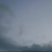 Haruの画像