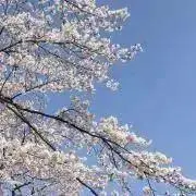 ゆとこの画像