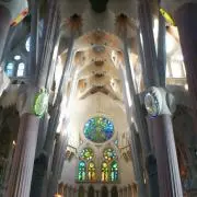 ゆーいちの画像