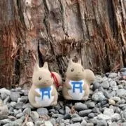 するめの画像