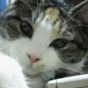 おいどん