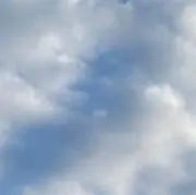 明太の画像