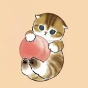 せいの画像