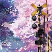 サチマティックの画像