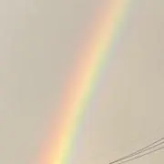 おにぎりの画像