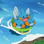 さめこ