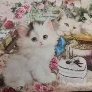 necoの画像