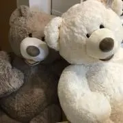 ちゃりくん