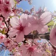おー