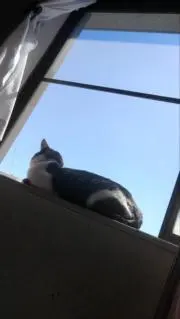 SYK　断捨離中の画像