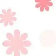 nの画像