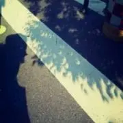 ふなこの画像
