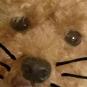 ゆずるんmama