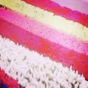 まい☺︎の画像