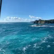 なるるんの画像